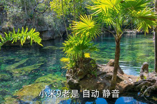 小米手机为啥自动静音,小米手机为什么总是自动静音?