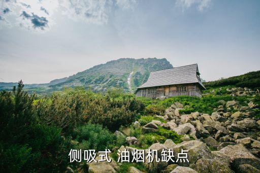 侧吸式 油烟机缺点