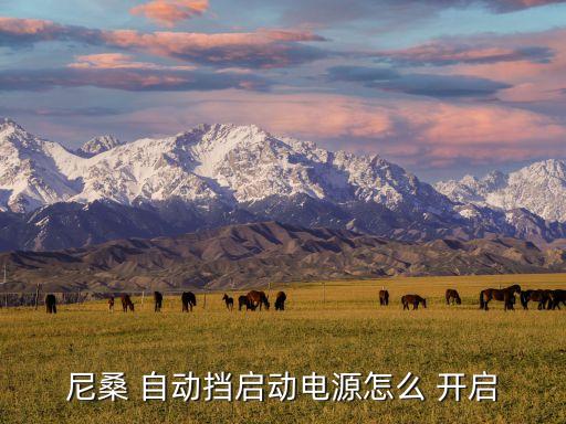 尼桑 自动挡启动电源怎么 开启