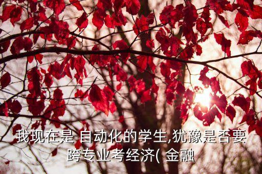 我现在是 自动化的学生,犹豫是否要跨专业考经济( 金融