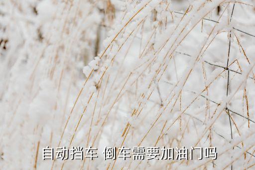  自动挡车 倒车需要加油门吗