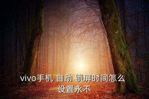 vivo手机 自动 锁屏时间怎么 设置永不