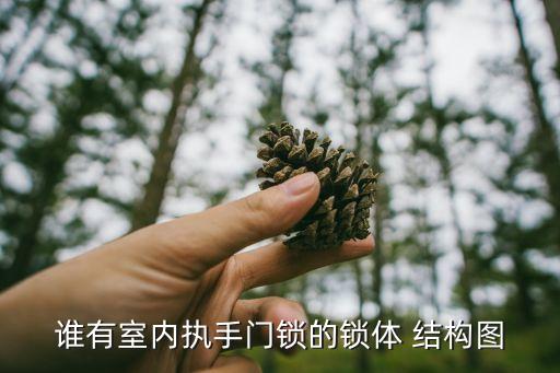谁有室内执手门锁的锁体 结构图