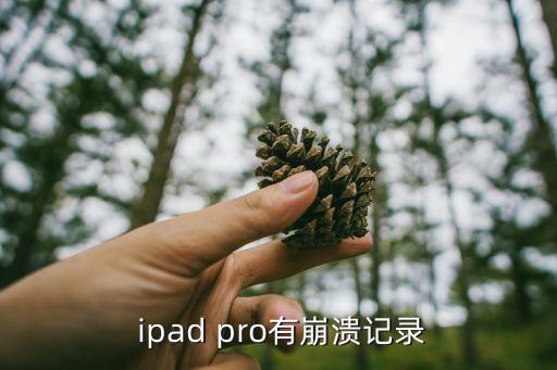 ipad pro自动关机