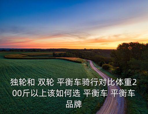 独轮和 双轮 平衡车骑行对比体重200斤以上该如何选 平衡车 平衡车品牌