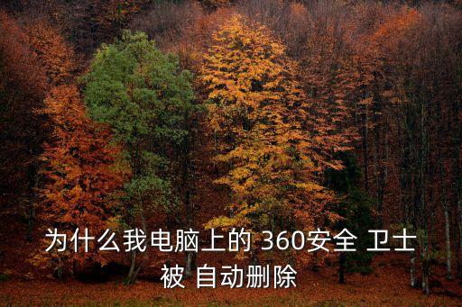 为什么我电脑上的 360安全 卫士被 自动删除