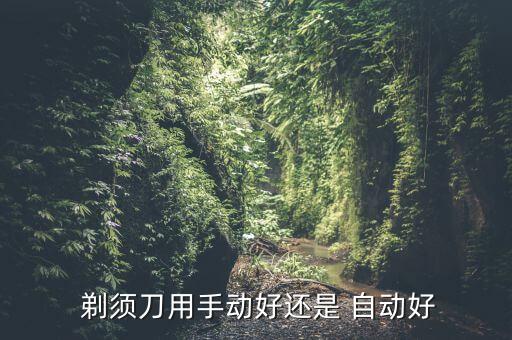  剃须刀用手动好还是 自动好