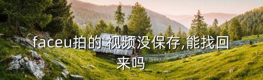 faceu拍的 视频没保存,能找回来吗