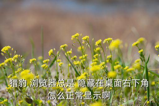 猎豹 浏览器总是 隐藏在桌面右下角怎么正常显示啊