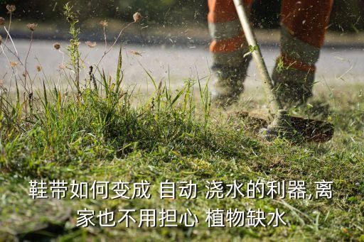 鞋带如何变成 自动 浇水的利器,离家也不用担心 植物缺水
