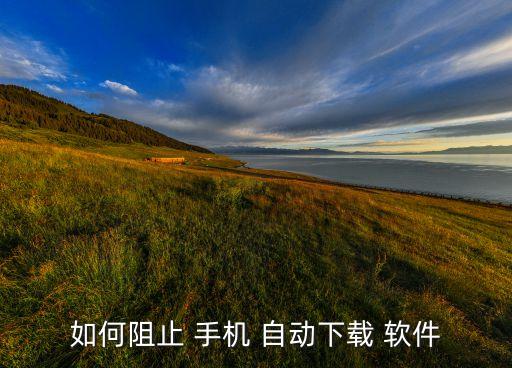 如何阻止 手机 自动下载 软件