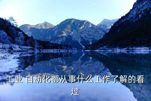 自动化从业人数,回顾:本届大选回顾（一）