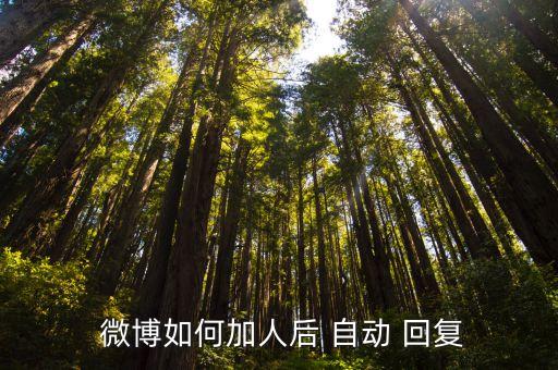  微博如何加人后 自动 回复