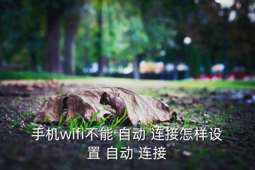 手机wifi不能 自动 连接怎样设置 自动 连接
