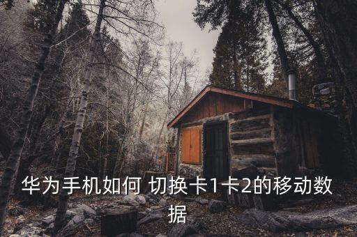 华为手机如何 切换卡1卡2的移动数据