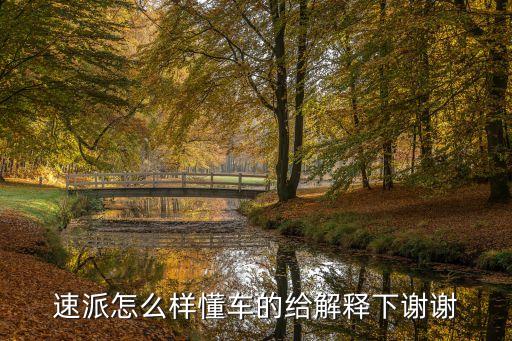 速派怎么样懂车的给解释下谢谢