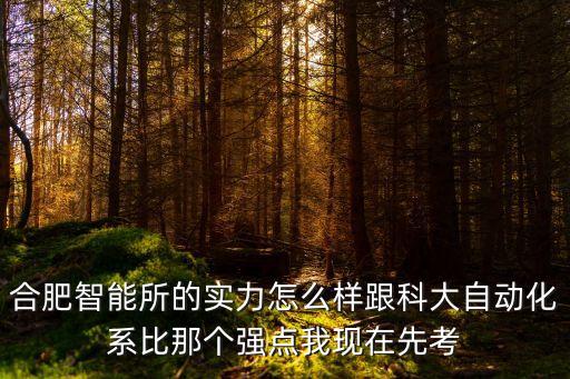 合肥智能所的实力怎么样跟科大自动化系比那个强点我现在先考