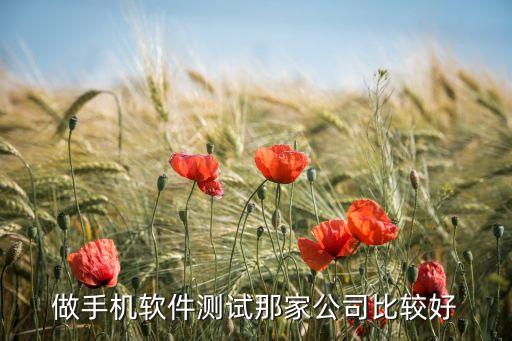 做手机软件测试那家公司比较好