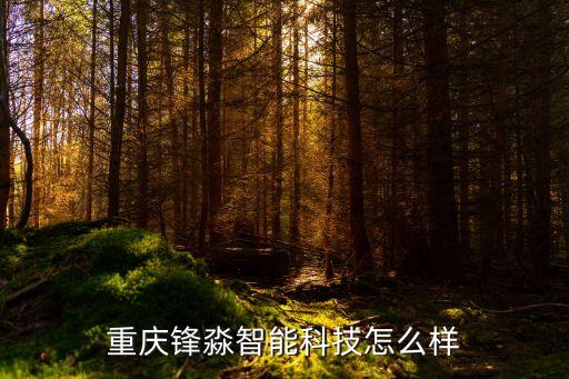 淼孚智能科技怎么样，重庆锋淼智能科技怎么样