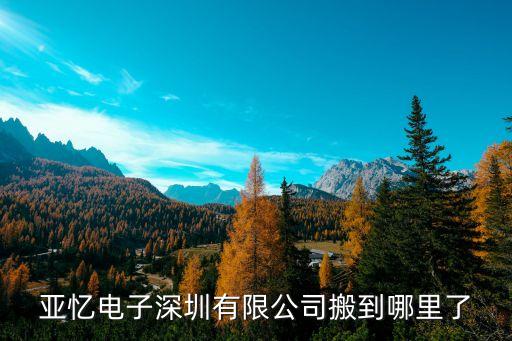亚忆电子深圳有限公司搬到哪里了