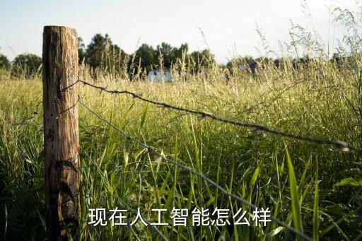 现在人工智能怎么样