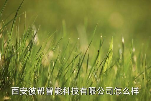西安彼帮智能科技有限公司怎么样