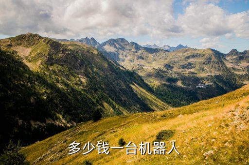 多少钱一台机器人