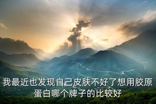 我最近也发现自己皮肤不好了想用胶原蛋白哪个牌子的比较好
