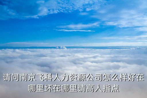 请问南京飞科人力资源公司怎么样好在哪里坏在哪里请高人指点