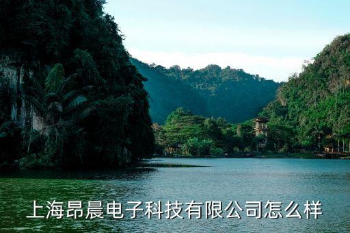 上海昂晨电子科技有限公司怎么样