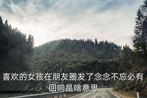 喜欢的女孩在朋友圈发了念念不忘必有回响是啥意思
