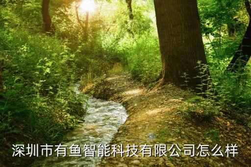 深圳市有鱼智能科技有限公司怎么样