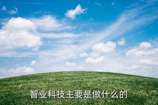 智业科技主要是做什么的