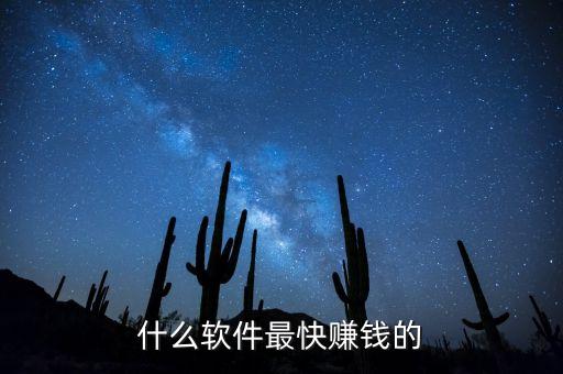 什么软件最快赚钱的
