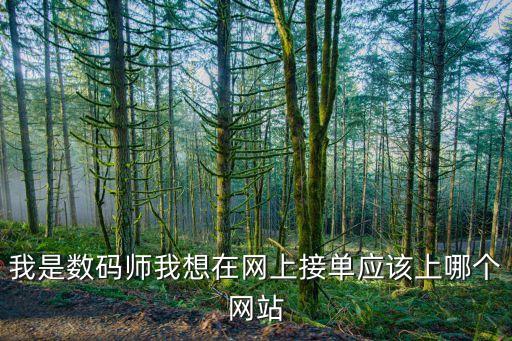 我是数码师我想在网上接单应该上哪个网站