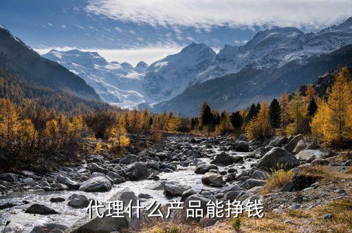 代理什么产品能挣钱
