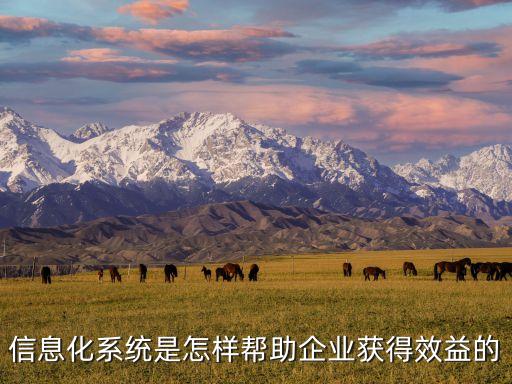 信息化系统是怎样帮助企业获得效益的