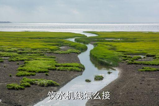 饮水机线怎么接
