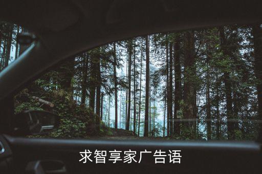 求智享家广告语