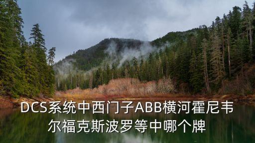 dcs系统中西门子abb横河霍尼韦尔福克斯波罗等中哪个牌
