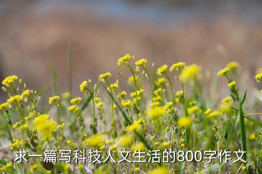 求一篇写科技人文生活的800字作文