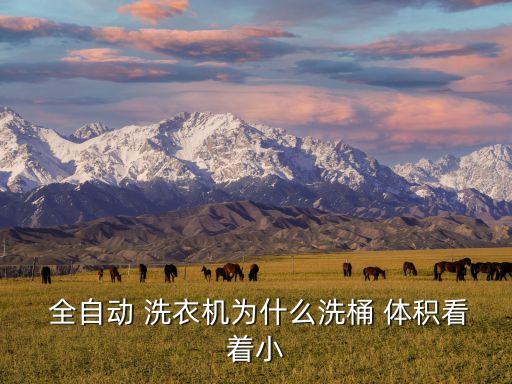  全自动 洗衣机为什么洗桶 体积看着小