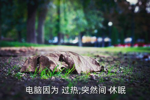  电脑因为 过热,突然间 休眠