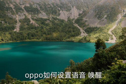 oppo自动唤醒哪里调,如何使用声纹唤醒服务?