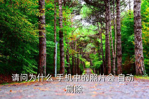 手机会自动删除东西,现在的手机特别流氓不会设置自动卸载
