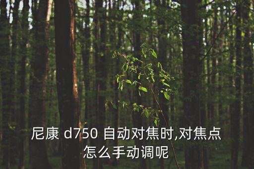 d750没有自动模式,这些东西值得你关注的