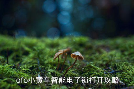  ofo小黄车智能电子锁打开攻略