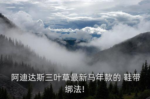 阿迪达斯 自动绑鞋带,纽扣鞋带魔法扣解决鞋带难题