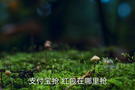  支付宝抢 红包在哪里抢