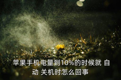 苹果10自动关机了,苹果手机40%电量自动关机三大原因